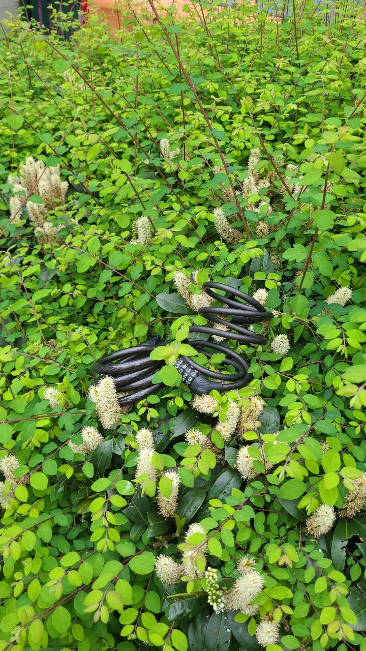 Fahrradklau in den Robert-Geritzmann-Höfen