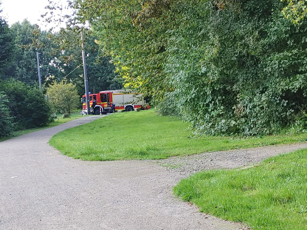 Feuerwehr rettet Rollstuhlfahrer aus&nbsp;Wiese
