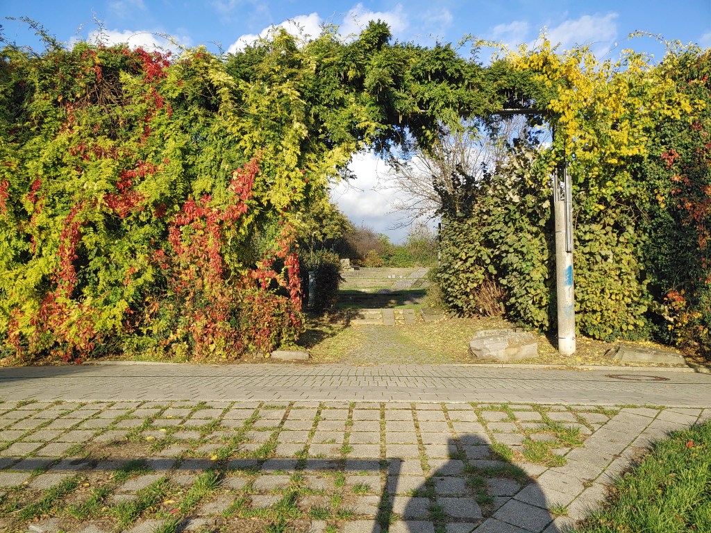 Herbst in der&nbsp;Feldmark