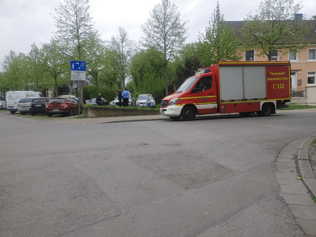 Eigentlich haben wir zu viel Ratten in der&nbsp;Siedlung.