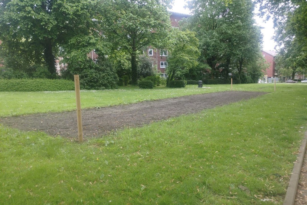 Neues Blumenfeld an der Hans-Böckler&nbsp;Allee