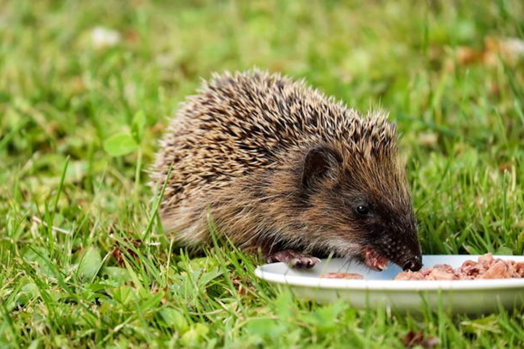 AUSGESETZT: TATJANA geht es&nbsp;gut