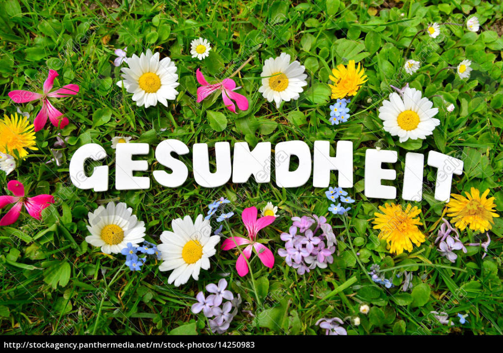 ERGO-Therapie verlässt die&nbsp;Feldmark